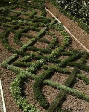 Cómo hacer crecer un jardín de hierbas