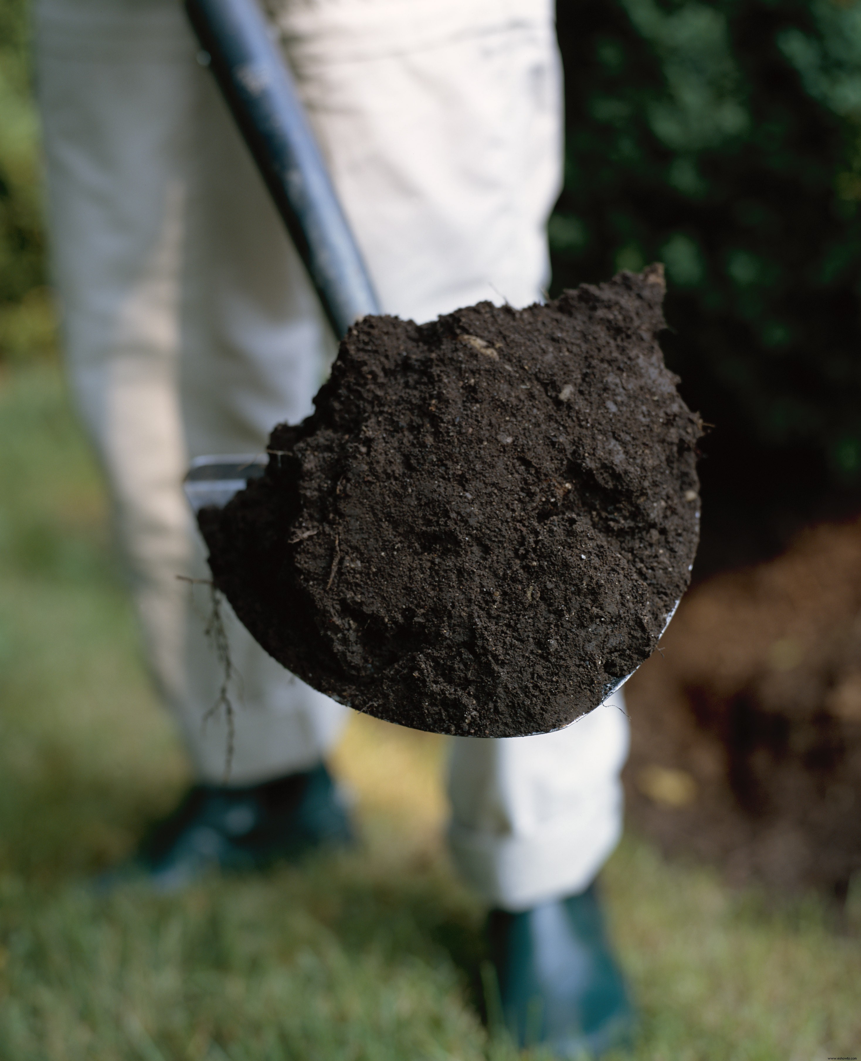 Cómo preparar el suelo para plantar