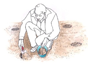 Guía Completa: Cómo Preparar el Suelo Ideal para Plantar en tu Jardín