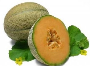 Guía Completa del Melón Reticulado (Cantalupo): Cultivo, Selección y Beneficios Nutricionales