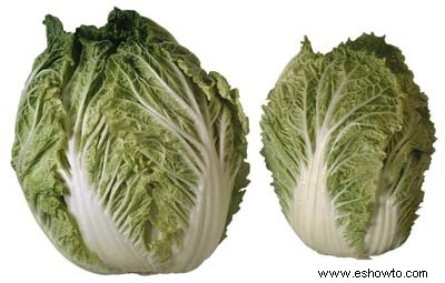 Lechuga