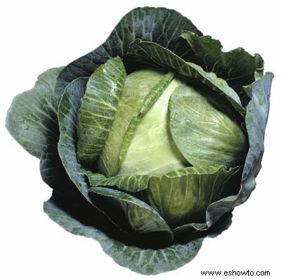 Lechuga