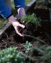 Tierra para huerta