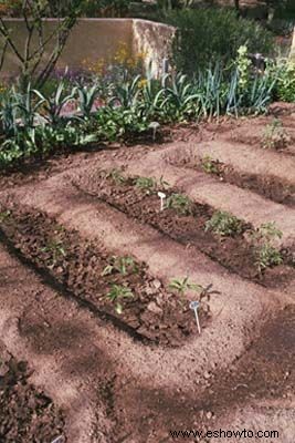 Plantar un jardín