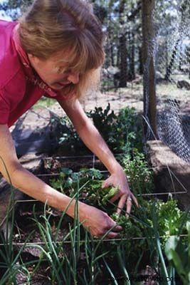 Plantar un jardín