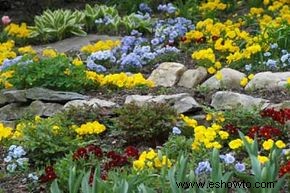 Cómo planificar un jardín de rocas