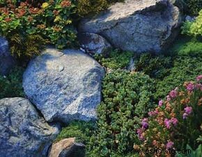 Cómo planificar un jardín de rocas