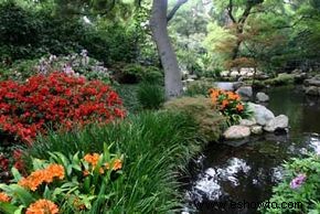 Cómo construir un jardín acuático