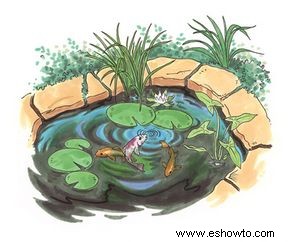 Cómo construir un jardín acuático