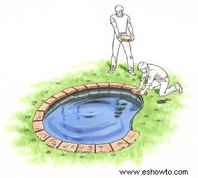 Cómo instalar un estanque de jardín acuático