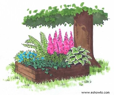 Cómo hacer crecer un jardín de sombra