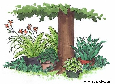 Cómo hacer crecer un jardín de sombra