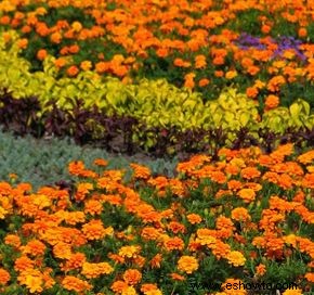 Tipos de jardín