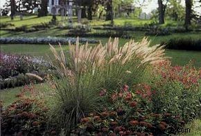 Ideas para el jardín de follaje