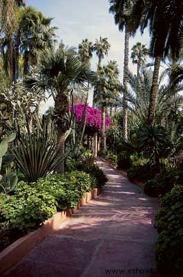 Ideas para el jardín de follaje