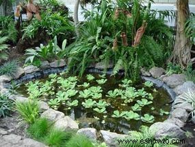 Ideas para jardines acuáticos