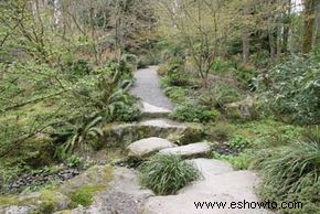 Ideas para el jardín de rocas