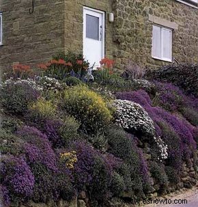 Ideas para el jardín de rocas