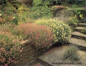 Ideas para el jardín de rocas