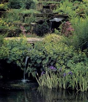 Ideas para el jardín de rocas