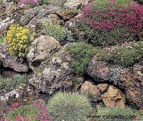 Ideas para el jardín de rocas