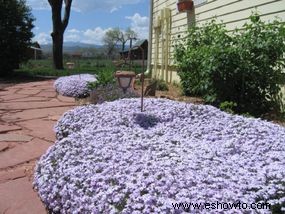 Ideas tradicionales para jardines de sombra