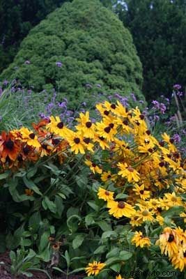 Ideas para un jardín de hábitat