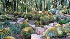 Ideas de jardines naturales