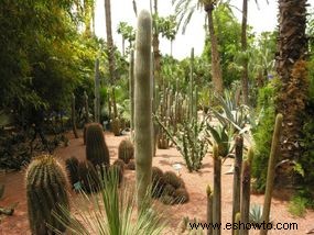 Ideas de jardines naturales