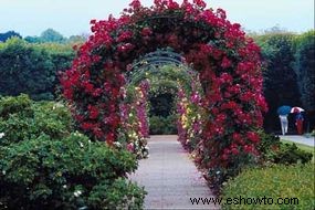 Ideas para el jardín de la cabaña