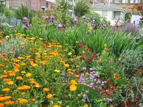 Ideas para el jardín de la cabaña