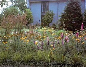 Ideas para el jardín de la cabaña