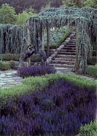 Ideas de jardines campestres ingleses