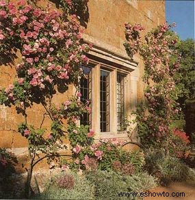 Ideas de colores para el jardín