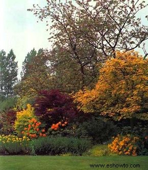 Ideas de colores para el jardín