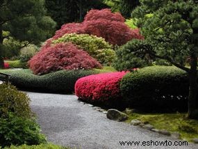 Ideas de colores para el jardín