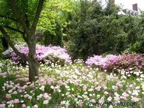 Ideas de colores para el jardín