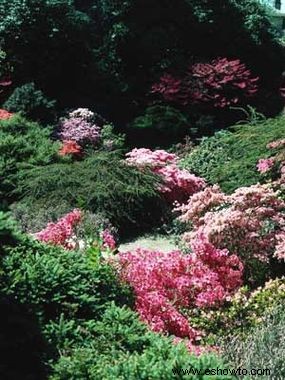 Ideas de colores para el jardín