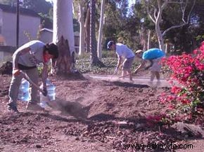 Guía definitiva para la jardinería de guerrillas