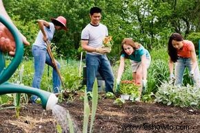 ¿Los jardines de la victoria nos ayudarán a superar los altos precios de los alimentos?