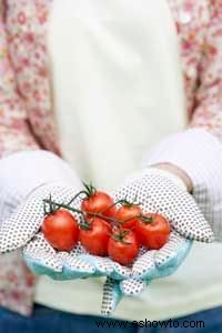 ¿Los jardines de la victoria nos ayudarán a superar los altos precios de los alimentos?