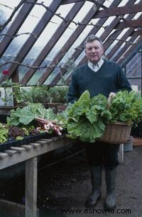 ¿Qué es la jardinería en contenedores?