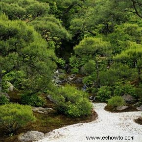 5 maneras de hacer que un jardín parezca más grande