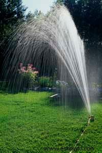 Cómo conservar agua manteniendo un hermoso jardín