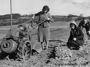 Cómo funcionan las cultivadoras de césped