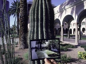 Cómo hacer verde su jardín