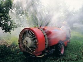 Cómo hacer verde su jardín