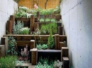 Paisajismo Ecológico: Cómo Ahorrar Energía, Reducir Costos y Proteger el Medio Ambiente