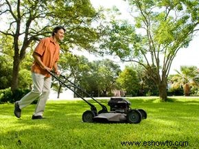 Cómo mantener el césped verde en una sequía