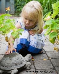 10 piedras para usar en su Hardscape